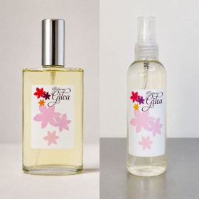 Perfume Andy de Perfumes Gilca | Fragancia mujer elegante